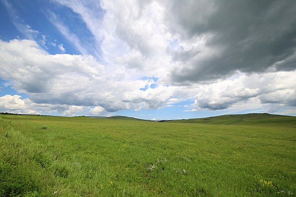 ��������ԭ���