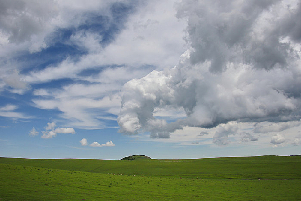 ��ͷ�εĲ���