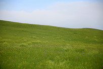 �ٻ�ʢ����ɽ������