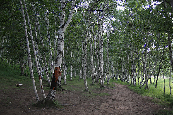 ��������С·