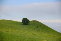 �����εĲ�ԭɽ��