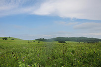 ��ԭ�ٻ���