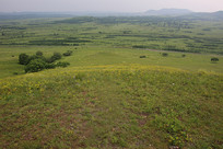 ��ԭ�ݳ�Զ��