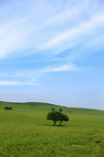 ��ԭ�����ϵ�����