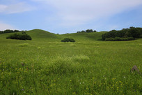 ��ԭ����������