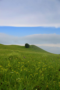 ��ԭ��������