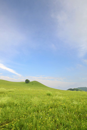 ��ԭ��������