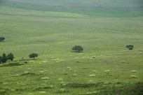 ��ԭ������