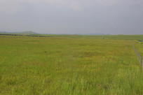 ��ԭ����