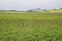 ��ԭ�����Ļ���