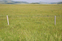 ��ԭ�ϵ�����