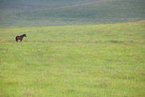 ��ԭ�Ϲ¶�����ƥ