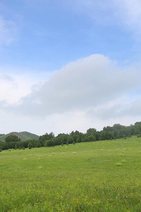 ��ԭɽ������