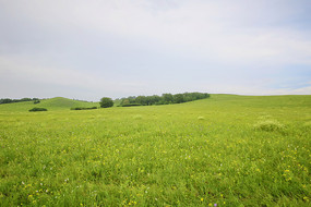 ���̵Ĵ��ԭ����