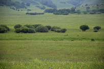 ���ԭ��������