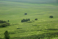 ���ԭ�ϵ�������