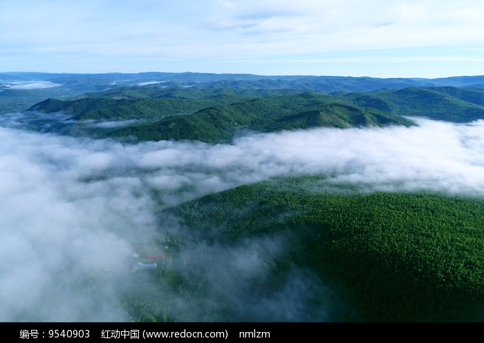 ����ɭ������ ͼƬ