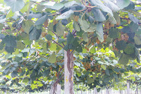 ⨺��Һ�����