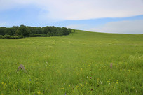 ��ɫ�Ĳ�������