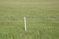 ������˿դ��