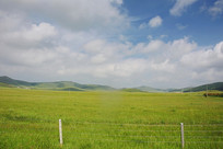 ���ɲ�ԭ����������