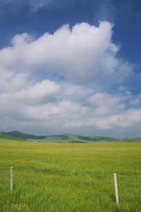 ���ɲ�ԭ����������