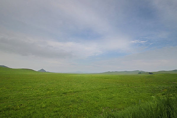 ���ɲ�ԭ����