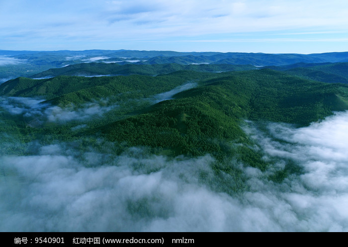 ɭ�����������ģ�ͼƬ