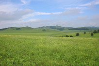 ������ͳ��ԭ������