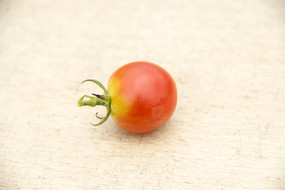 С��������