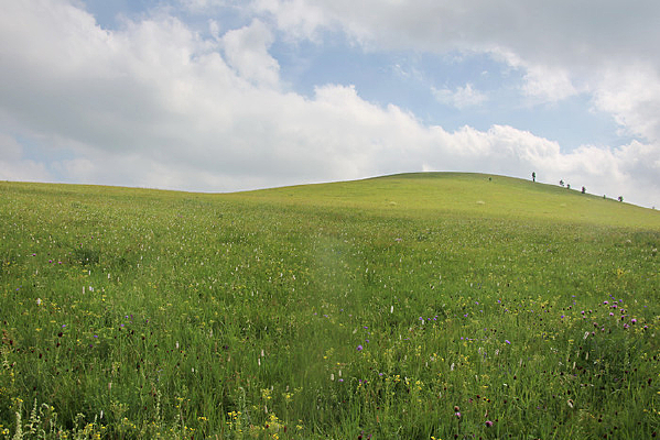 ��ԭ����