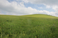 ��ԭ����