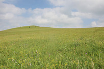 �����ʻ��Ĳ�ԭ����