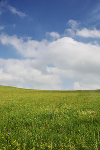 �����µĲ�ԭ����