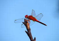 �����µĺ�����