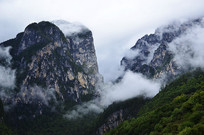 ����������������Ƶ�ɽ��