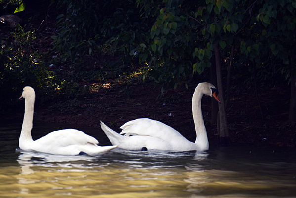 �������۵����