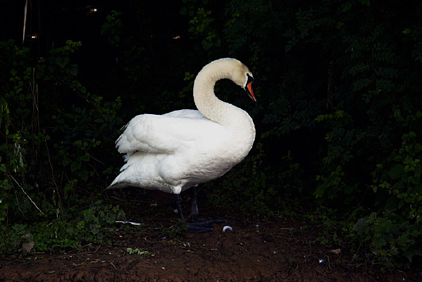 ����֮�е����