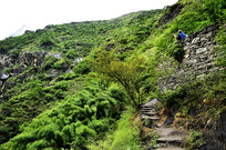 �л���Ͽ;�з羰