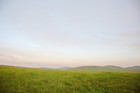 ��ԭ�ٻ�����ɽ��