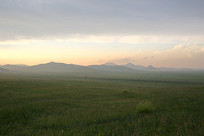 ��ԭ�ƻ�ĺɫ