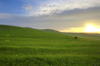 ��ԭ�ƻ�����