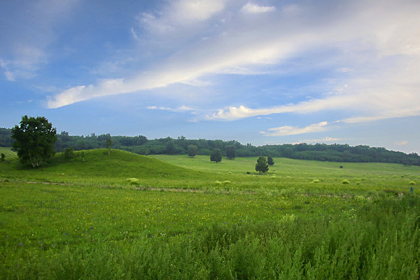 ��ԭ��������������