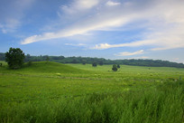 ��ԭ��������������