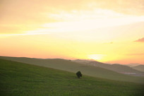 ��ԭĺɫ���