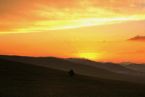 ��ԭ�����Ժͻ�����