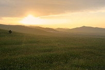 ��ԭ�����â