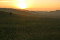 ��ԭ����ʱ���ɽ��