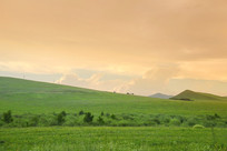 ��ԭɽ�»ƻ�