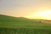 ��ԭɽ������ĺɫ